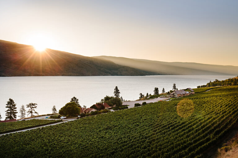 Stunning sunrise lake view from Fitzpatrick winery in Summerland. The sun is just peaking over the eastern horizon, while the lake i=begins to glow and light begins to reach the Fitzpatrick vineyard on the west side of the lake, below the winery.