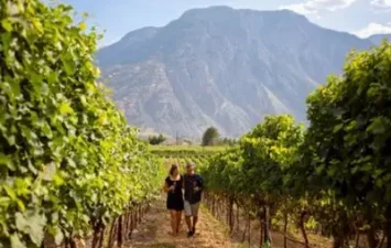 Similkameen-Wine-Tours.jpg